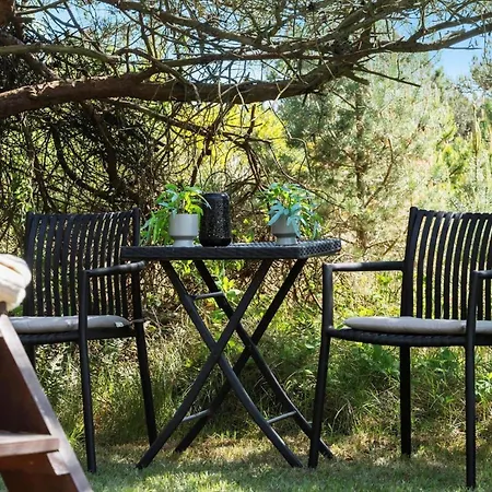 333-hvide-sande-sivbjerg-12 *